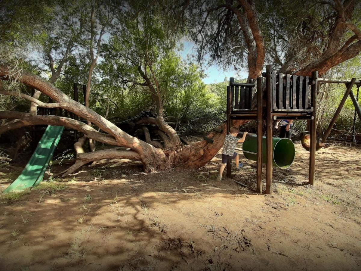 Lylius Cottage And Campsites Clanwilliam Dış mekan fotoğraf