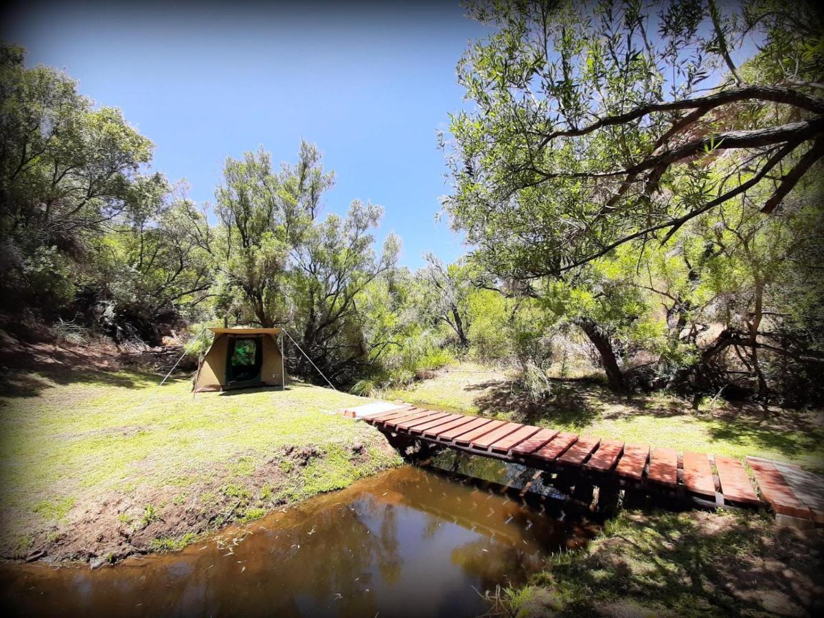 Lylius Cottage And Campsites Clanwilliam Dış mekan fotoğraf